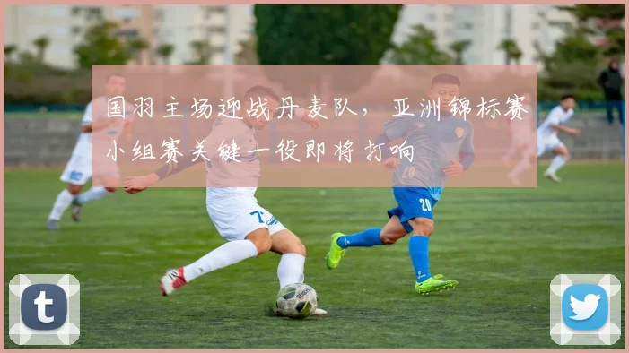 国羽主场迎战丹麦队，亚洲锦标赛小组赛关键一役即将打响